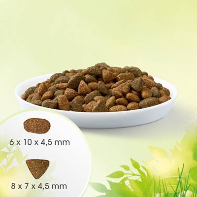 Perfect Fit™ Natural Vitality - suché kompletní krmivo pro dospělé kočky s kuřecím a krůtím masem - 6kg