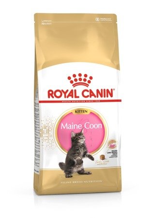 ROYAL CANIN Maine Coon Kitten 10kg + PŘEKVAPENÍ ZDARMA!!