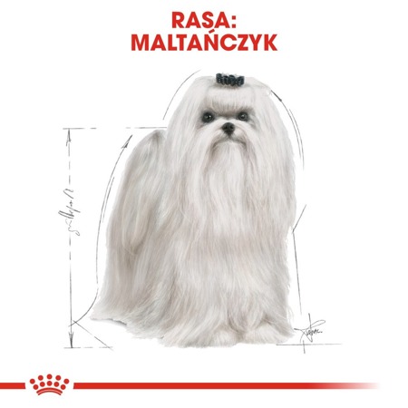 ROYAL CANIN Maltese Adult 1,5kg 