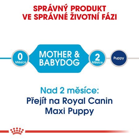 ROYAL CANIN Maxi Starter Mother&Babydog 15kg