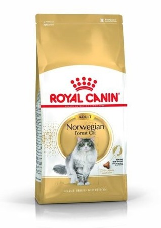 ROYAL CANIN Norwegian Forest Cat Adult 10 kg